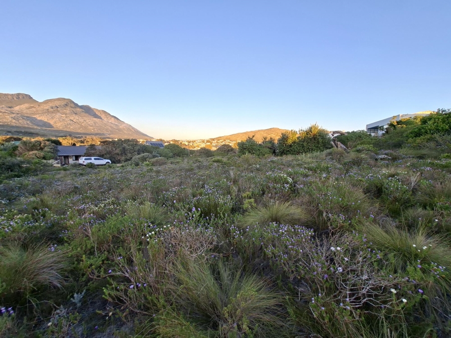 0 Bedroom Property for Sale in Pringle Bay Western Cape
